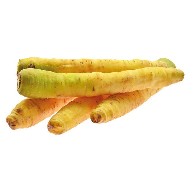 773204.png
