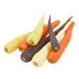 773220.png