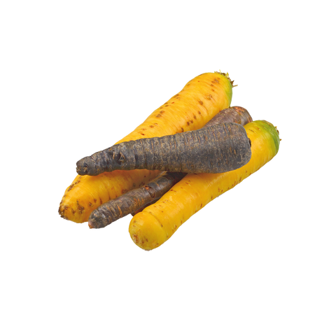 773220.png