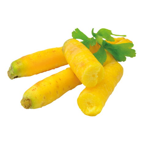 773425.png