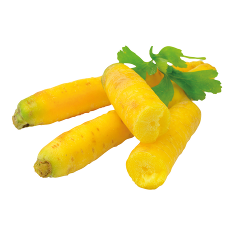773425.png