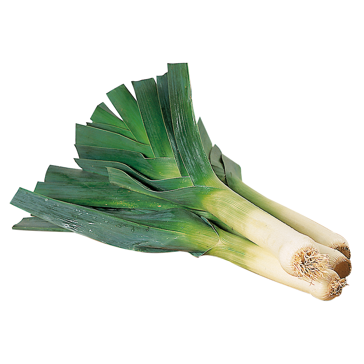 774006.png