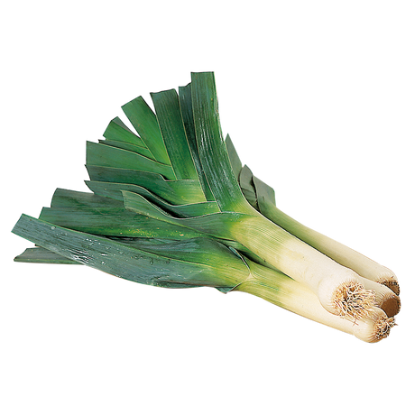 774006.png