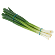 774111.png