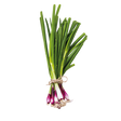 774170.png