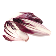 775126.png