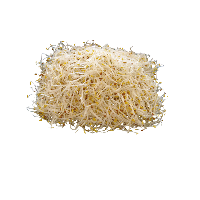 775363.png