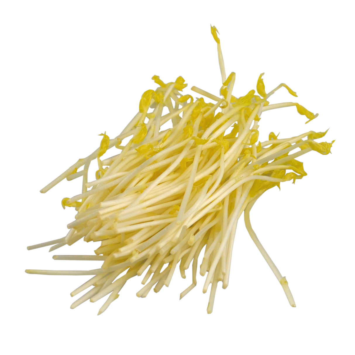 775479.png