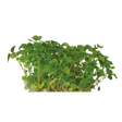 775673.png