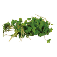 775754.png