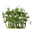 775878.png
