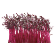 775886.png