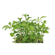 775894.png