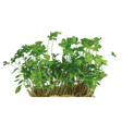 775908.png