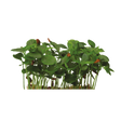 775967.png