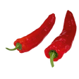 776297.png