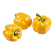 776327.png