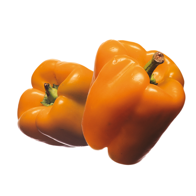 776564.png