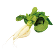 777005.png