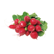 777560.png