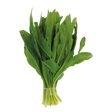 777722.png