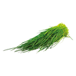 778133.png