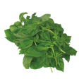 778354.png