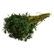 778583.png
