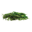 778613.png