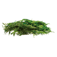 778613.png