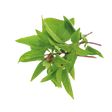 778621.png