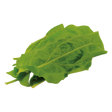 778788.png