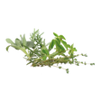 778850.png