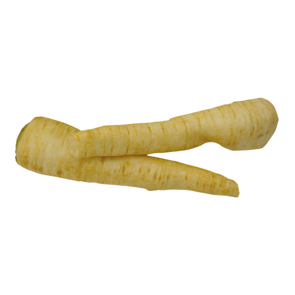 779105.png