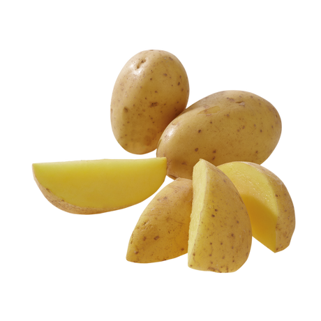 780480.png