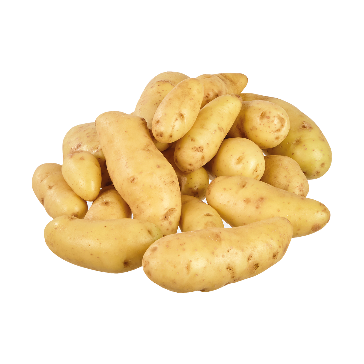 781096.png