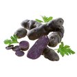 781118.png