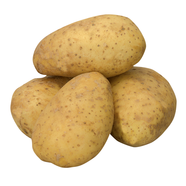 781355.png