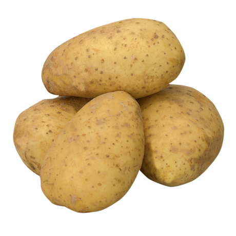 781584.png
