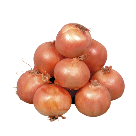 782335.png