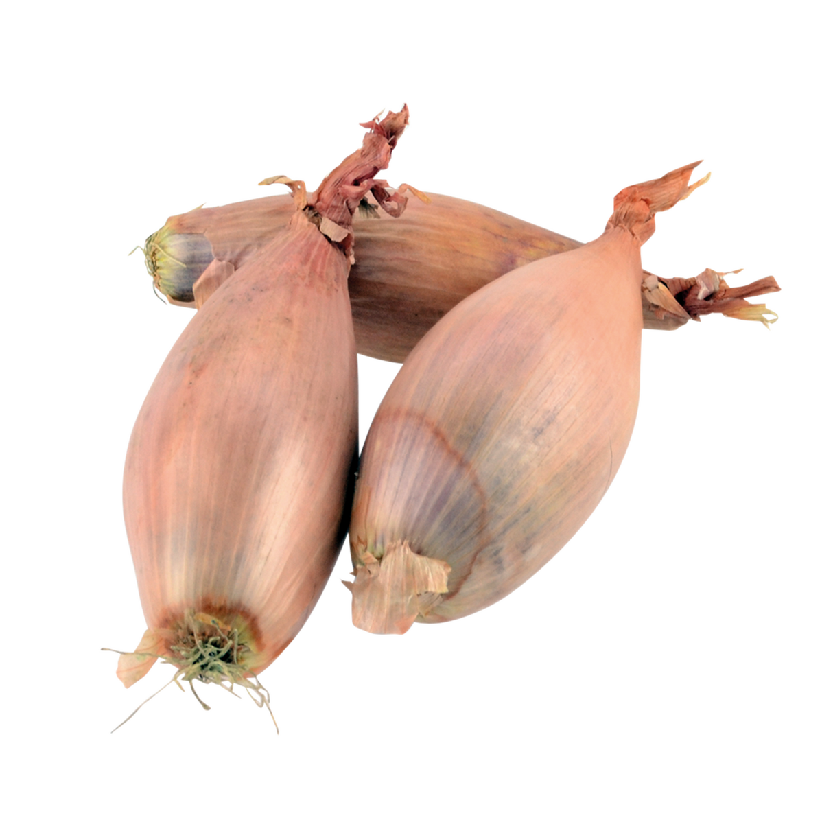 782467.png