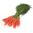 783021.png