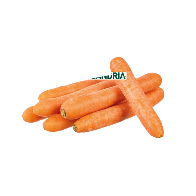 783145.png