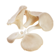 784133.png