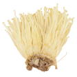 784281.png