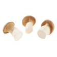 784508.png
