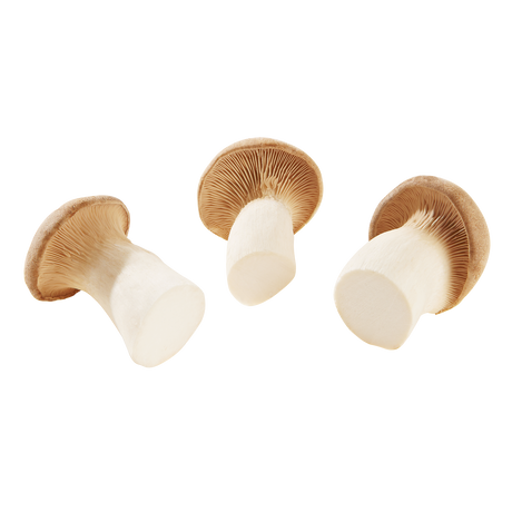 784508.png