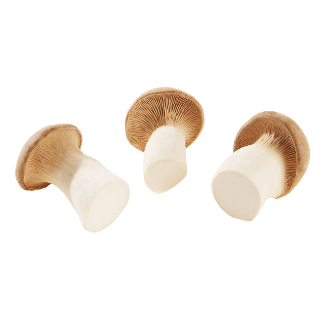 784508.png