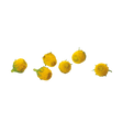 785296.png