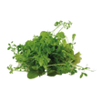 785547.png